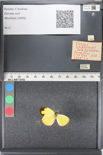 Media type: image;   Entomology 122792